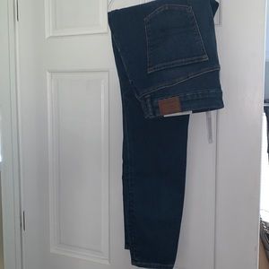 American Eagle The Lu(x)e Jean Curvy Hi-Rise Jegging